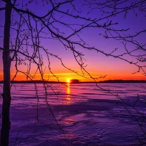 Meet your Posher, Roman